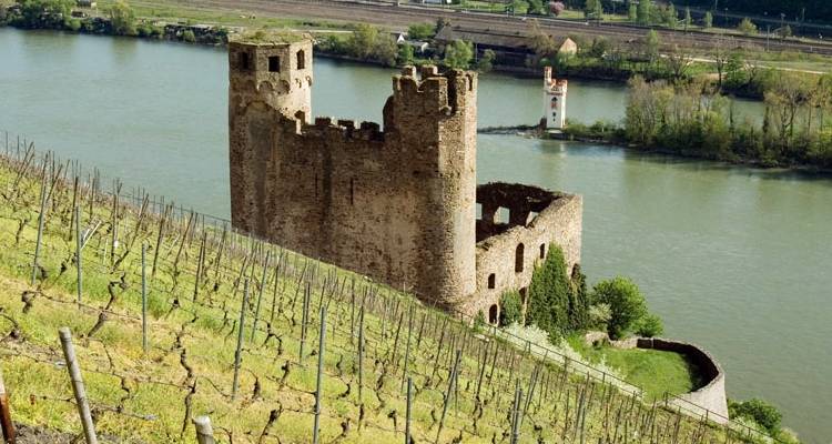 Two-River Cruise: The magic of the picturesque Moselle and the romantic Rhine Valley (port-to-port cruise) - CroisiEurope River Cruises