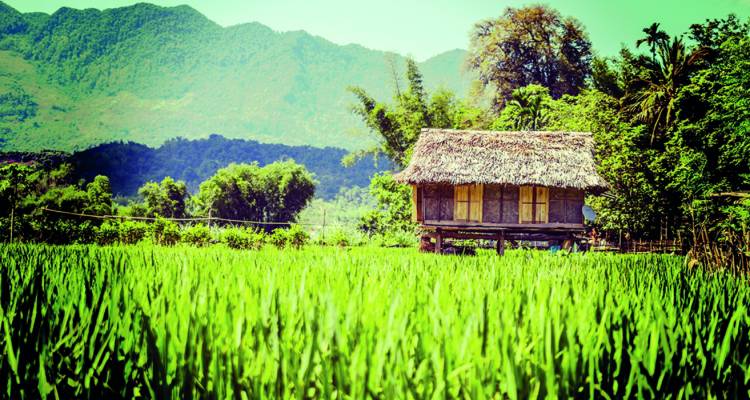 Ultimate Vietnam Adventure - Busabout