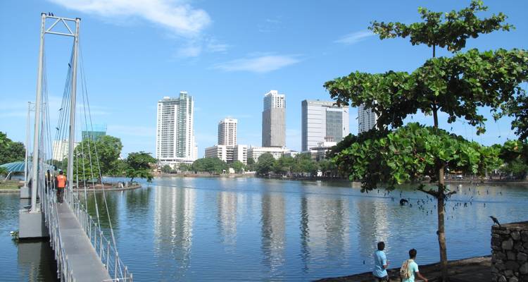 City skyline with a suspension bridge and lake in the foreground.