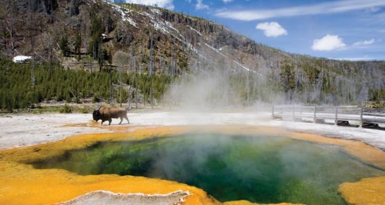 Mt Rushmore to Yellowstone - Intrepid Travel