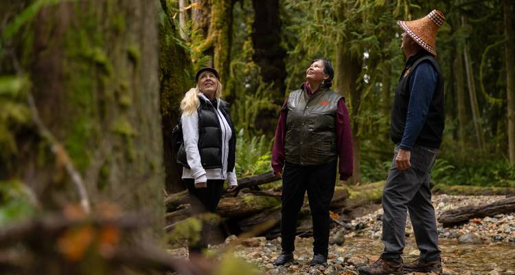 Tres viajeros están de pie en un sendero forestal cubierto de musgo mirando hacia arriba los árboles altos que los rodean.