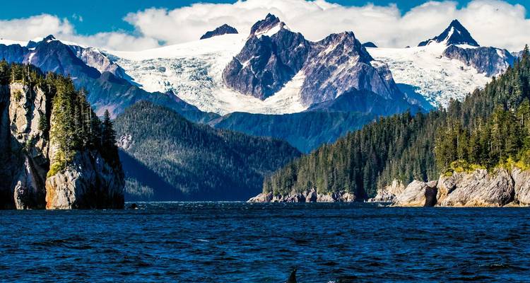 Mar azul profundo enmarcado por acantilados boscosos con una dramática cadena montañosa coronada por glaciares más allá.
