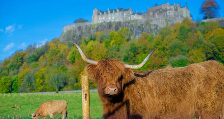 Lochs, Castles and The Kelpies - Haggis Adventures