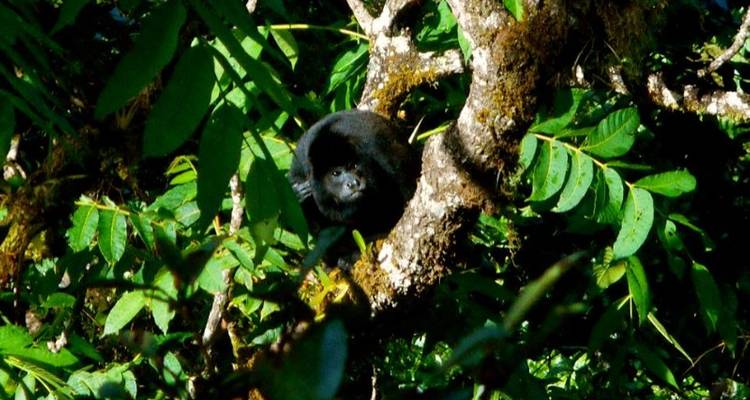 Beaches & Nature Adventure 8D/7N - Bamba Experience