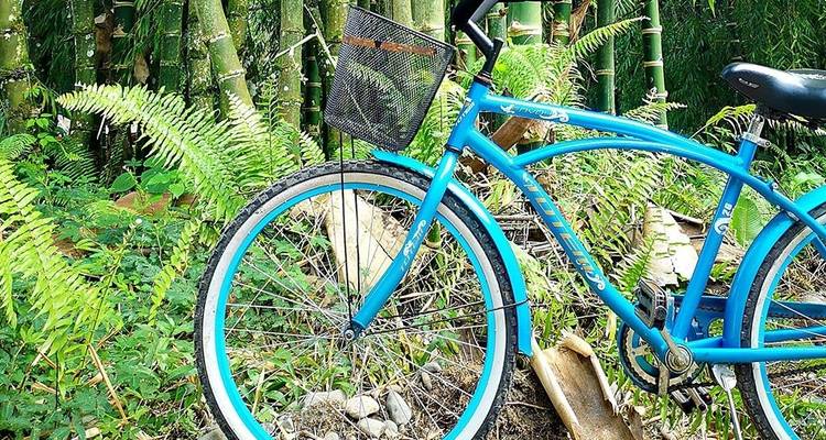 Una bicicleta azul estacionada entre la vegetación exuberante.