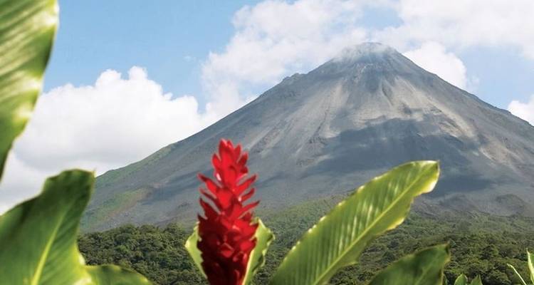 Monkeys Jungles and Volcanoes 2019 - Trafalgar