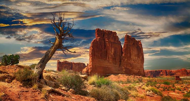 Dramatic red sandstone monoliths and twisted desert tree under a colorful sunset sky in the American Southwest.