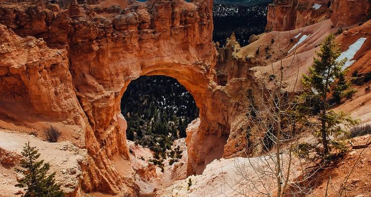 Natural sandstone arch opening onto forested canyon walls in Bryce Canyon National Park.