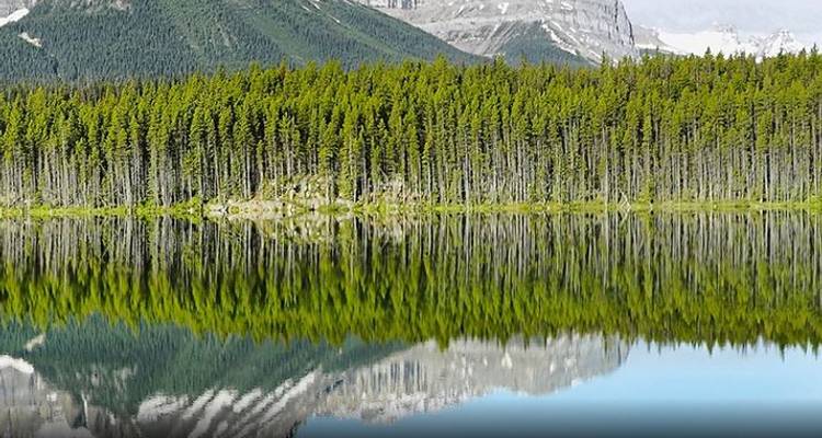 Iconic Rockies (Base, 13 Days) - Trafalgar