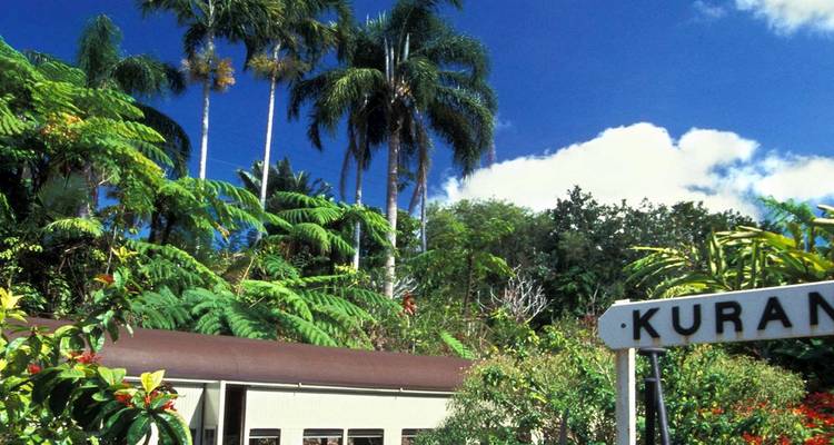 Tropical railway station sign reading 'Kuranda' surrounded by lush palms and ferns under blue sky.