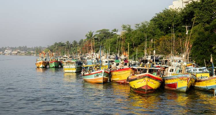 Rows of brightly painted fishing boats moored along a calm river estuary with greenery behind.