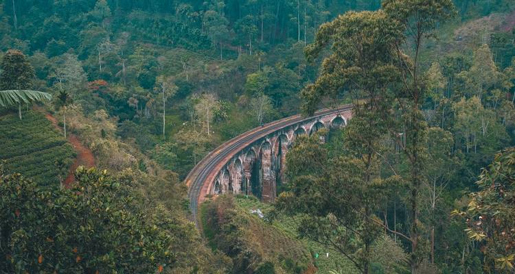 Pont ferroviaire majestueux dans un paysage forestier.