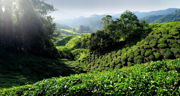 Kuala Lumpur to Bangkok Adventure - G Adventures