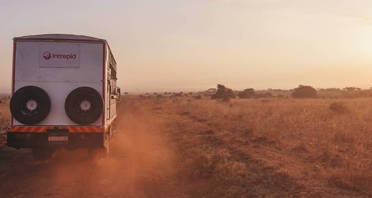 Camion de safari roulant sur un chemin de terre dans une vaste savane.