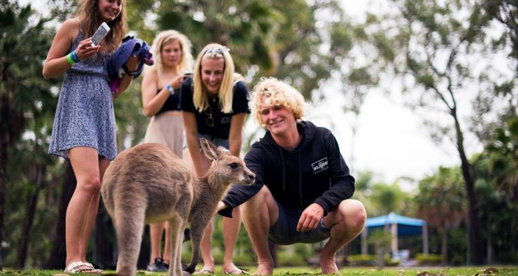 Grupo de personas interactuando con un canguro en un parque.