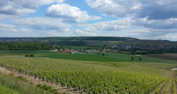 Champagne and Paris by Bike and Barge - UTracks