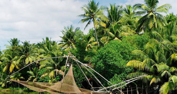 Redes de pesca tradicionales entre palmeras, típicas de Kerala.