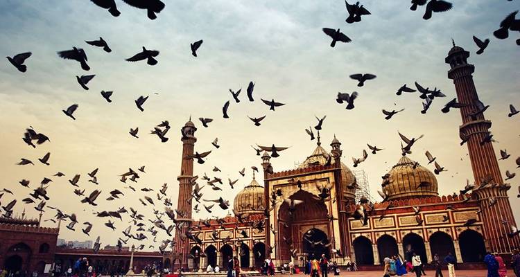 Icons of India: The Taj, Tigers & Beyond with Dubai, Southern India & Varanasi (from Dubai to New Delhi) - Globus