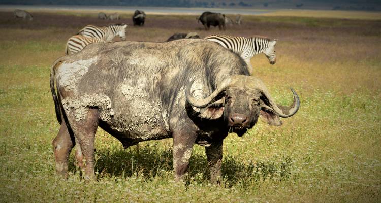 Botswana & Namibia - Tucan Travel