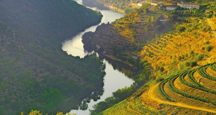 The Douro River winds through sunlit terraced vineyards and golden hills of northern Portugal.