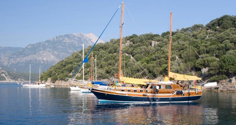 Wooden sailboat near coast with greenery.