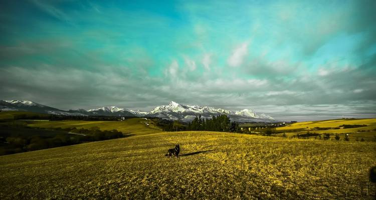 Sprawling landscape with mountains in the distance.