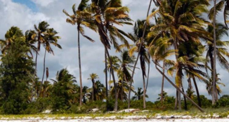 Kenya & Tanzania Private Safari with Nairobi & Zanzibar – Stone Town - Monograms