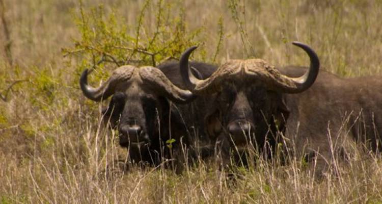 Kenya & Tanzania Private Safari with Nairobi & Zanzibar – Beach - Monograms