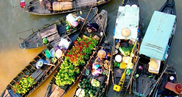 Saigon - Mekong delta tour 2 days 1 night - Vktour
