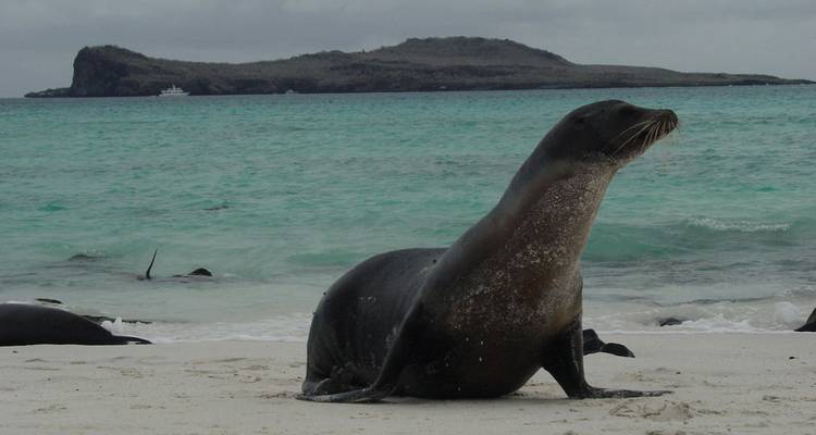 Galápagos Highlights & Peru with Peru's Amazon - Monograms
