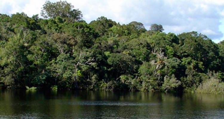 Cruising the Galápagos on the Galápagos Sea Star Journey with Ecuador's Amazon - Monograms