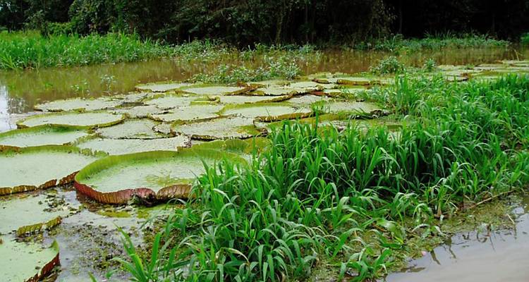 Grand Tour of South America with Peru's Amazon - Monograms