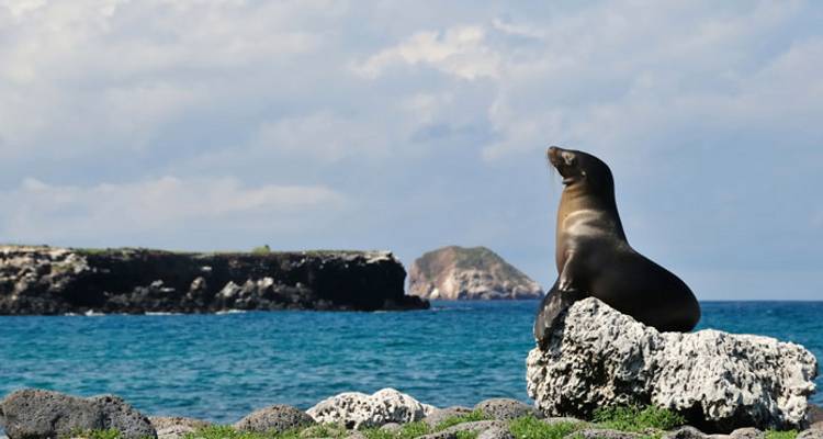 Grand Tour of South America with the Galápagos on board the Santa Cruz II - Monograms