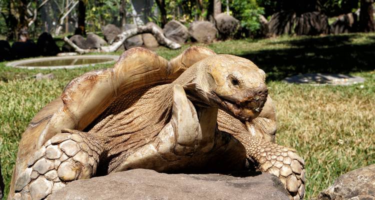 Cruising the Galápagos on board the La Pinta with Peru, Ecuador's Amazon & Lake Titicaca - Monograms