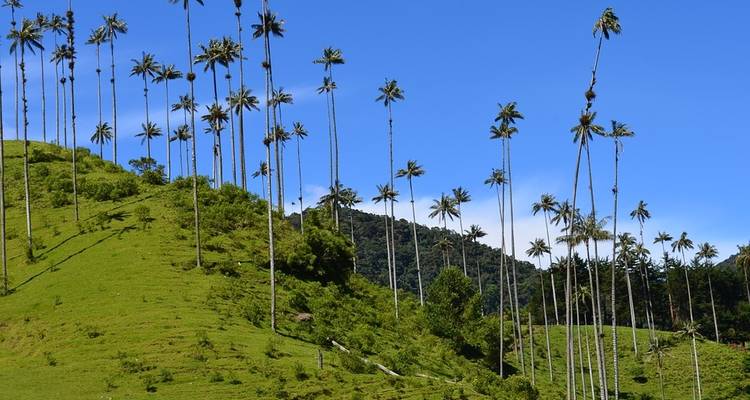 Magical Colombia with Medellin - Monograms