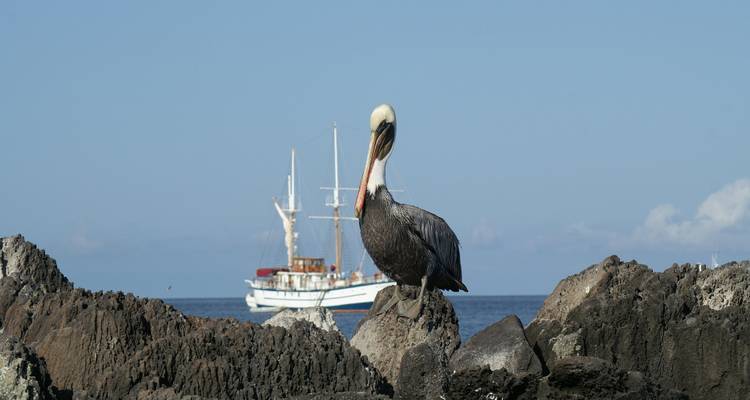 Cruising the Galápagos on board the Santa Cruz II with Peru, Ecuador's Amazon & Peru's Amazon - Monograms