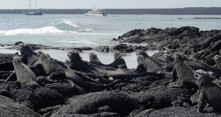 Cruising the Galápagos on board the Santa Cruz II with Peru, Ecuador's Amazon & Nazca Lines - Monograms