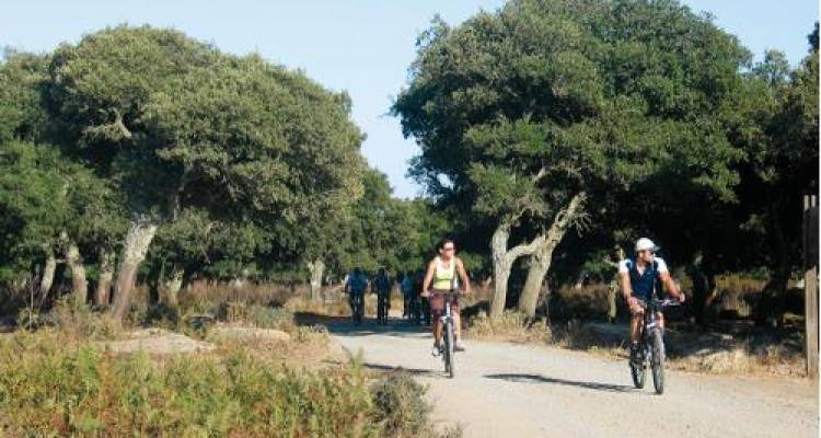 Sardinia Family Cycle Adventure - UTracks