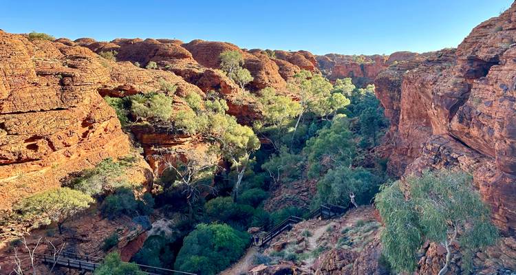 Des parois rocheuses rouges spectaculaires et une végétation luxuriante à l'intérieur de Kings Canyon au parc national de Watarrka