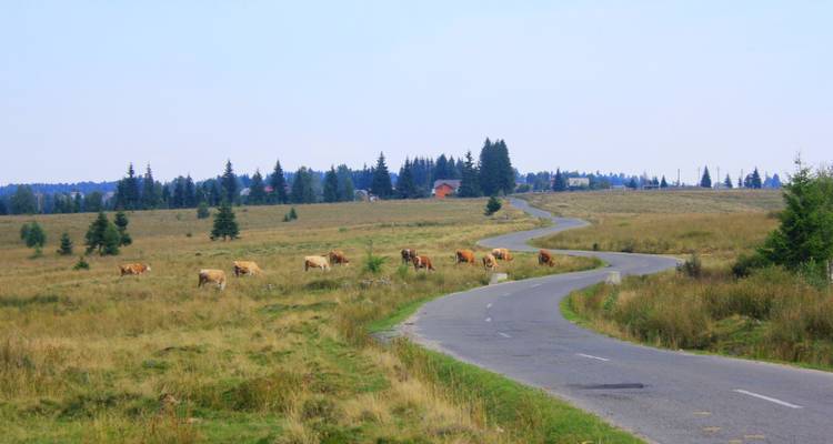 Easy Riding Apuseni - TransyBike