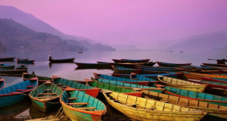Fila de botes de remos pintados con colores vibrantes en un lago brumoso al atardecer rosado.