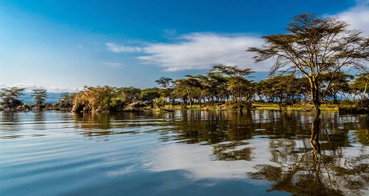 Aguas tranquilas y reflexivas del Lago Naivasha rodeadas de árboles de acacia bajo un cielo azul.