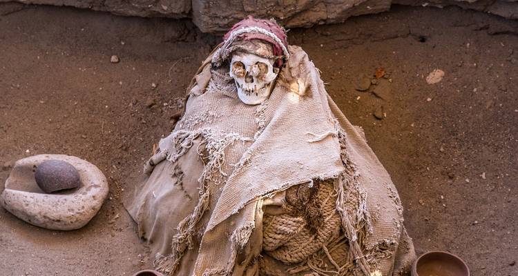 Ancient mummified remains wrapped in tattered cloth sitting in a desert tomb exhibit