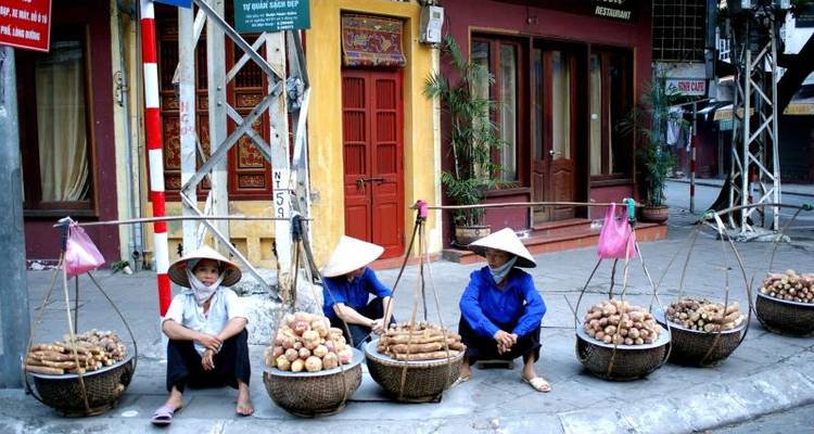 Vietnam - Central Coast Highlights Bicycle Tour (from Hanoi to Da Nang City) - Pure Adventures