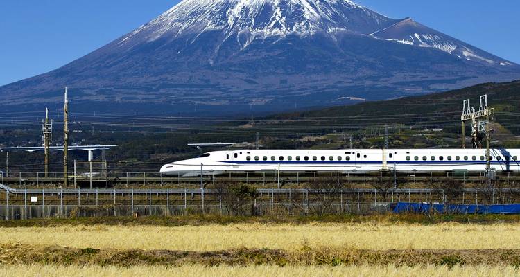 Le train Shinkansen à grande vitesse glisse devant des champs dorés avec le Mont Fuji enneigé se dressant majestueusement à l'arrière-plan.