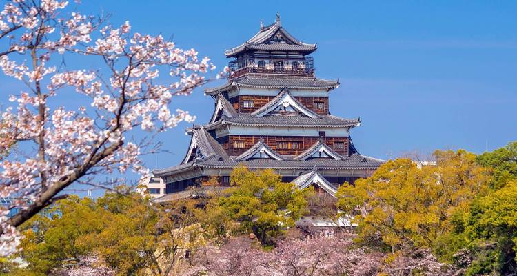 Un château japonais traditionnel s'élève au-dessus des cerisiers en fleur et du feuillage printanier frais sous un ciel bleu éclatant.