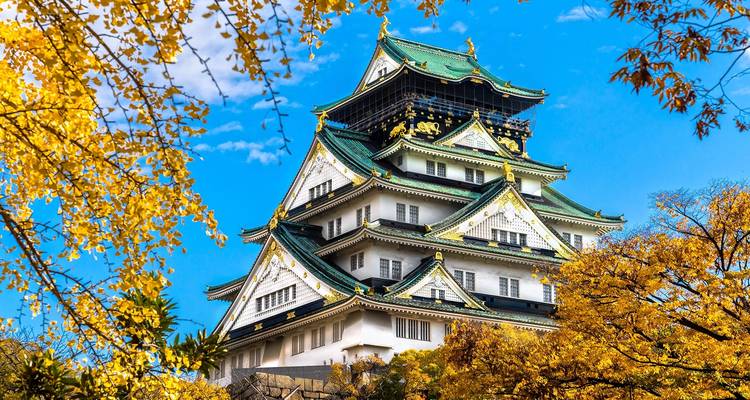 Le magnifique château d'Osaka encadré par un feuillage automnal doré et vibrant contre un ciel bleu éclatant.