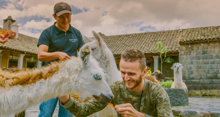 Dos hombres alimentando una llama en un patio.