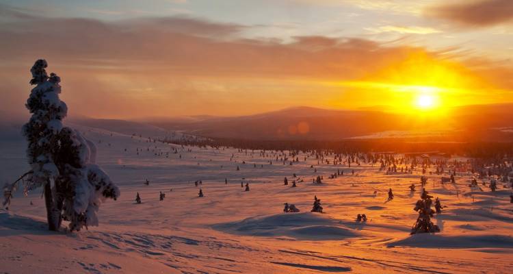 Paisaje cubierto de nieve con árboles bajo un sol poniente.