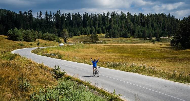 Cycliste avec les bras levés roulant sur une route à travers un paysage forestier.